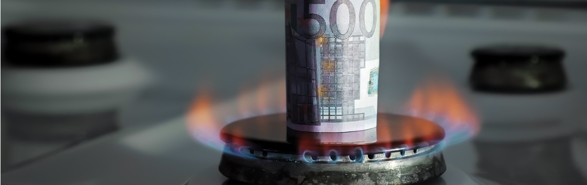 [ENQUETE]: Laat weten wat de gevolgen zijn van de gestegen gasprijzen voor uw bedrijf